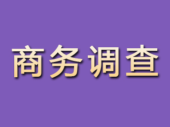 夏河商务调查